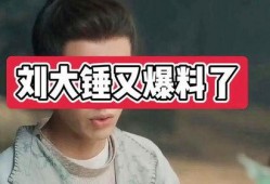 八卦爆料刘大锤视频