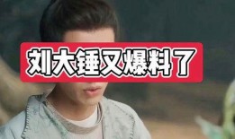 八卦爆料刘大锤视频