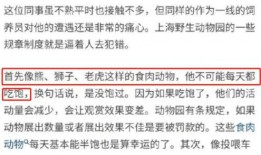 湖北爆料事件视频播放时间,揭秘事件背后惊人真相，播放时间引发热议