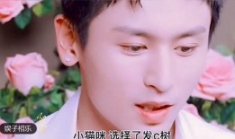 福州画室爆料视频大全集,揭秘艺术教育背后的故事