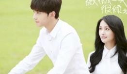 微微一笑很倾城在线观看完整版,甜蜜校园爱情，网络与现实交织的浪漫传奇