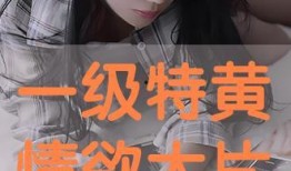 大片 在线观看,在线观影新体验