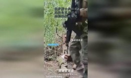 乌克兰战俘爆料视频播放,揭秘战地真实情况与生存困境