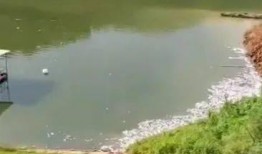 阿哈水库爆料视频大全,揭秘水库背后的惊人真相