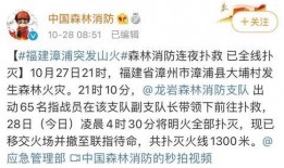 漳浦爆料新闻最新消息今天,突发事件引发关注，详情即将揭晓！