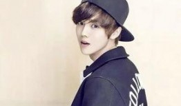 鹿晗爆料时间表最新,揭秘明星背后的真实生活