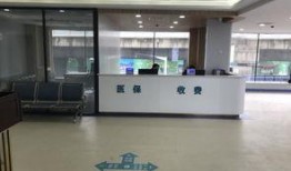 湖北医院最新爆料,揭秘疫情背后的真相与挑战