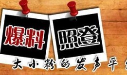 民间最新爆料新闻,民间最新爆料揭示惊人真相