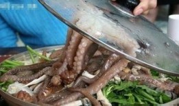 网红八爪鱼吃瓜事件视频,揭秘网络红人的争议瞬间