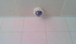 深圳卫生间爆料案件最新,惊人真相揭开神秘面纱