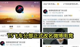 转会期最新爆料ts,TS战队引援新动态，神秘选手即将加盟？