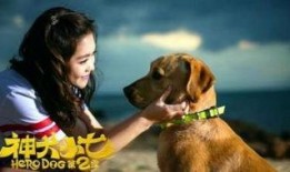 神犬小七2在线观看,忠诚守护，再续传奇