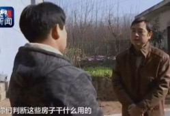 赞皇一中爆料事件始末视频,真相与争议的交织