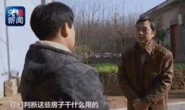 赞皇一中爆料事件始末视频,真相与争议的交织