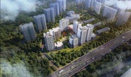 十一合村最新爆料进展,揭秘幕后真相与后续影响