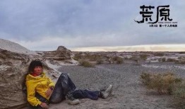 荒原在线观看,穿越荒原，探寻生命奥秘的奇幻之旅