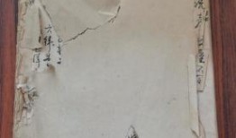 舌尖爆料探店视频大全最新,揭秘最新舌尖爆料探店视频大全