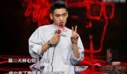 袁弘爆料林心如视频,揭秘娱乐圈背后的故事