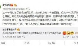 老罗爆料早年精神病视频,勇敢面对过去的勇气与成长