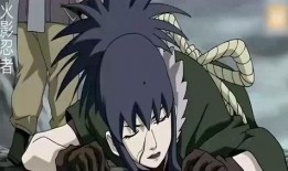 火影红莲爆料视频大全下载,独家揭秘忍者世界幕后真相