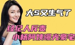 小杨直播爆料视频大全集,揭秘视频大全集精彩瞬间