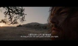 荒原在线观看,穿越荒原，探寻生命奥秘的奇幻之旅