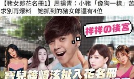 娱乐吃瓜菌感动,见证娱乐圈感动瞬间