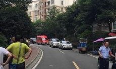 成都爆料小偷事件最新,警方全力追捕中！