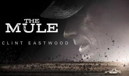 the mule 在线观看