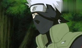 火影红莲爆料视频大全下载,独家揭秘忍者世界幕后真相