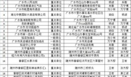樱花校园5月份爆料视频,校园生活新篇章