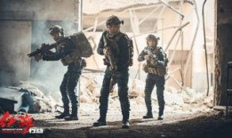 爆料突击队采访视频,独家采访视频深度解析