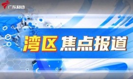 江门热点爆料新闻直播,聚焦城市动态，解码民生热点