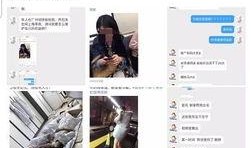 每日爆料怎么发布视频,轻松发布视频的神奇攻略