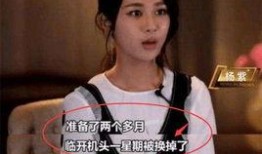 杨紫爆料娱乐圈视频,真实与虚幻的碰撞