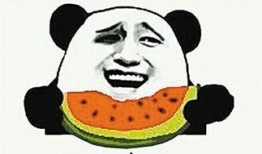 娱乐吃瓜君爆料遛鸟,遛鸟背后的明星趣事大揭秘