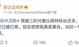 吃瓜转账网红叫什么,揭秘网红“吃瓜转账”背后的故事