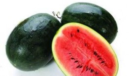 博雅吃瓜网红叫什么名字,揭秘网络红人的幕后故事