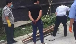 隔壁村最新爆料,揭秘神秘事件背后的惊人真相！