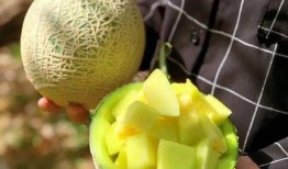 娱乐吃瓜最近,揭秘明星幕后故事