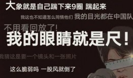 最新爆料解说文案大全,文案大全背后的秘密与精彩瞬间