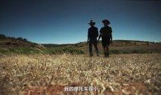 荒原在线观看,穿越荒原，探寻生命奥秘的奇幻之旅