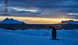 在线观看南极之恋,南极之恋的浪漫冒险之旅