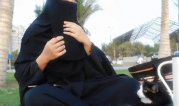 娱乐吃瓜君 道歉,回顾事件始末与反思”