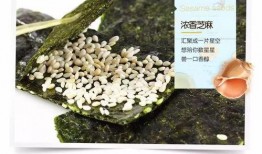 无敌海苔爆料视频大全,揭秘幕后真相与精彩瞬间