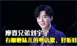 咖喱兄弟爆料视频大全集,揭秘幕后故事与精彩瞬间