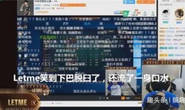 湖北爆料事件视频播放时间,揭秘事件背后惊人真相，播放时间引发热议