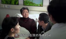 幺婶家的烦心事电视剧在线观看