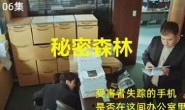 秘密森林手机在线观看,在线揭秘神秘森林的惊悚悬疑之旅