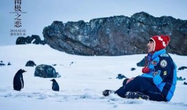 在线观看南极之恋,南极之恋的浪漫冒险之旅